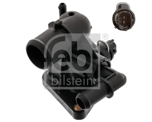 Thermostat, coolant